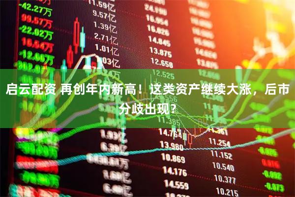 启云配资 再创年内新高！这类资产继续大涨，后市分歧出现？