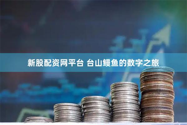 新股配资网平台 台山鳗鱼的数字之旅